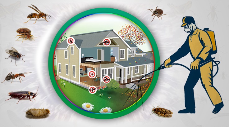 Durağan Böcek İlaçlama