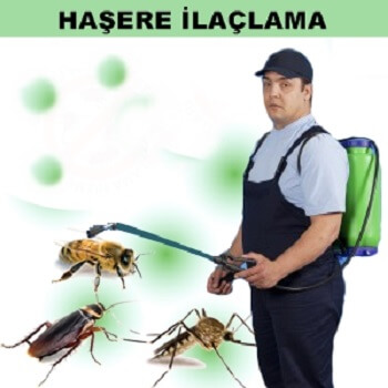 Durağan Böcek İlaçlama